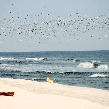 Lägenhet Beach'n'sea 10